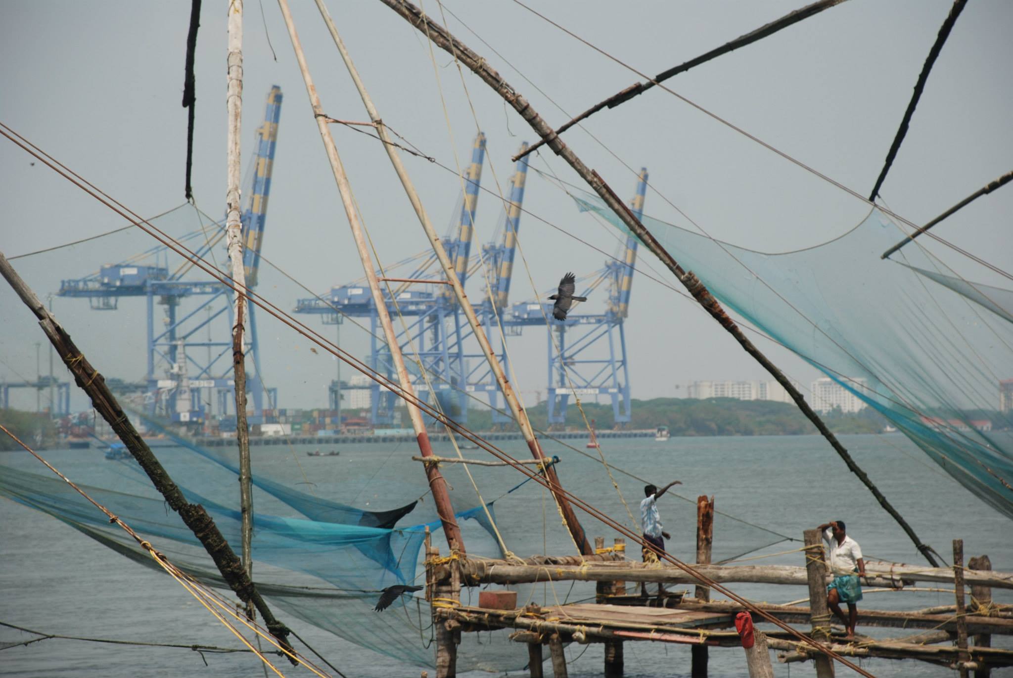 1966241_10103105939080015_5934480893703165221_o